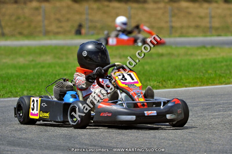 DSC_ (328).jpg